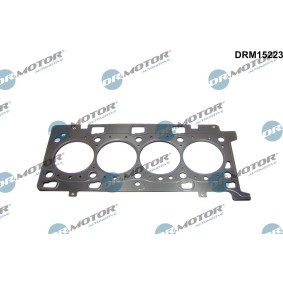Zylinderkopfdichtung DRM15223 von DR.MOTOR AUTOMOTIVE günstig für 61,03 € online kaufen