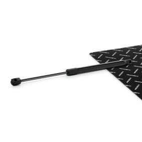 Achetez des Vérin de coffre RIDEX 219G1473 à prix pour 39,83 €