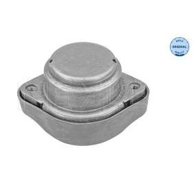 Comprar Suspensión, transmisión automática de MEYLE 100 130 0011 a bajo precio de 45,96 €