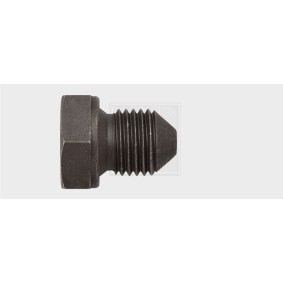 Verschlußschraube, Ölwanne 24000100316 von SWGAutomotive günstig für 3,33 € online kaufen