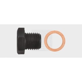 Verschlußschraube, Ölwanne 240141580 von SWGAutomotive günstig für 8,71 € online kaufen