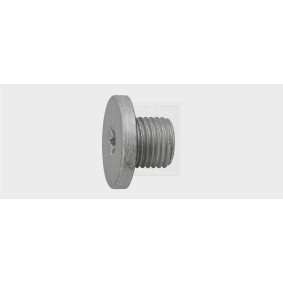 Verschlußschraube, Ölwanne 24100100316 von SWGAutomotive günstig für 5,76 € online kaufen