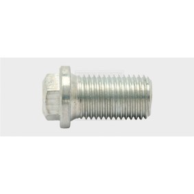 Verschlußschraube, Ölwanne 24200100116 von SWGAutomotive günstig für 3,88 € online kaufen