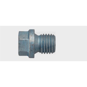 Verschlußschraube, Ölwanne 24200100316 von SWGAutomotive günstig für 6,21 € online kaufen