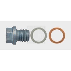 Verschlußschraube, Ölwanne 242121580 von SWGAutomotive günstig für 9,91 € online kaufen