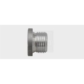 Verschlußschraube, Ölwanne 24300100516 von SWGAutomotive günstig für 14,70 € online kaufen