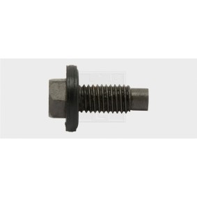 Verschlußschraube, Ölwanne 24300101016 von SWGAutomotive günstig für 8,14 € online kaufen