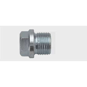Verschlußschraube, Ölwanne 24300101216 von SWGAutomotive günstig für 7,13 € online kaufen