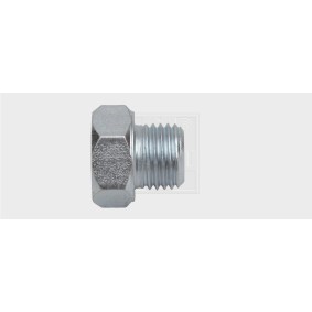 Verschlußschraube, Ölwanne 24300101416 von SWGAutomotive günstig für 6,21 € online kaufen