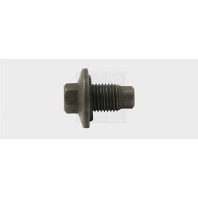Verschlußschraube, Ölwanne 24300101716 von SWGAutomotive günstig für 6,89 € online kaufen