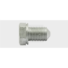 Verschlußschraube, Ölwanne 24300103016 von SWGAutomotive günstig für 2,73 € online kaufen
