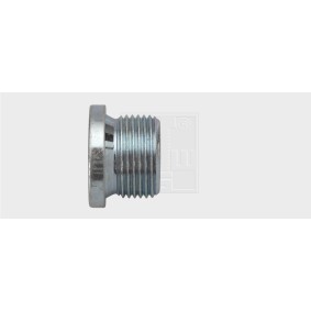 Verschlußschraube, Ölwanne 24310600180 von SWGAutomotive günstig für 13,11 € online kaufen