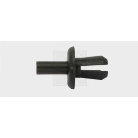 Clip, Zier- / Schutzleiste 50070016 von SWGAutomotive günstig für 6,88 € online kaufen