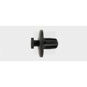 Clip, Zier- / Schutzleiste 50070980 von SWGAutomotive günstig für 8,04 € online kaufen