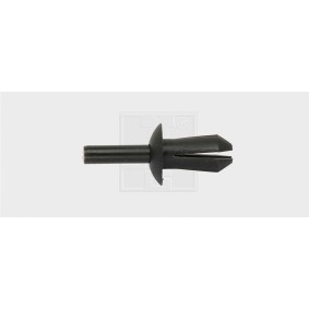 Clip, Zier- / Schutzleiste 50080016 von SWGAutomotive günstig für 5,04 € online kaufen