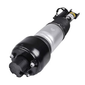 Comprar Amortiguador neumático de MiesslerAutomotive 1971-01-1113 a bajo precio de 507,91 €