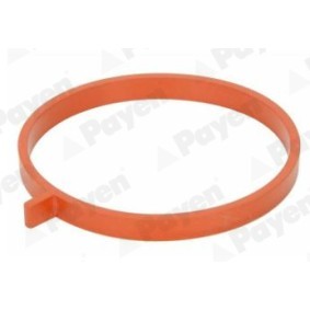 Comprar Junta, colector de admisión de PAYEN JD6186 a bajo precio de 6,74 €