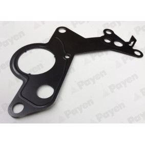 Dichtung, Kraftstoffpumpe KK5746 von PAYEN günstig für 9,07 € online kaufen