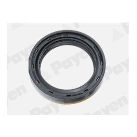 Acquista Anello tenuta, Differenziale da PAYEN NA5503 a buon mercato per soli 6,20 €