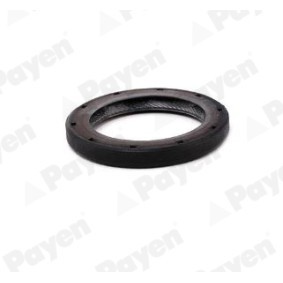Wellendichtring, Differential NA5507 von PAYEN günstig für 4,43 € online kaufen