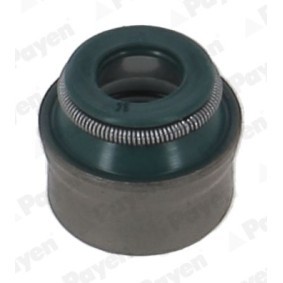 Ventilschaftdichtung PA6133 von PAYEN günstig für 1,80 € online kaufen
