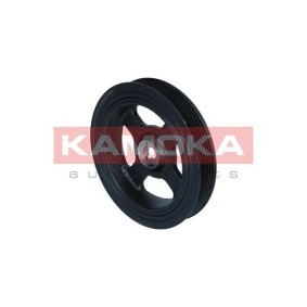 Acquista Puleggia cinghia albero a gomiti da KAMOKA RW100 a buon mercato per soli 50,20 €