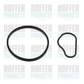 Dichtung, Unterdruckpumpe 91252 von HOFFER günstig für 31,40 € online kaufen