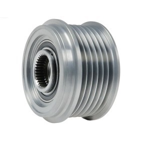 Comprar Rueda libre de alternador de AS-PL AFP0129S a bajo precio de 39,99 €