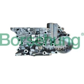 Köp Reparationssats, mekatronik (automatväxellåda) av Borsehung B10925 till det låga priset 3224,55 kr