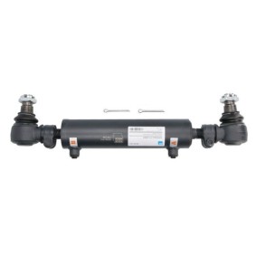 Comprar Cilindro de trabajo, dirección asistida de REINHOCH RH59-1001 a bajo precio de 335,75 €