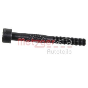 Compre Kit de parafusos, veio de excêntricos do bloco de rolamento da METZGER 2411065 a um preço baixo por 3,96 €