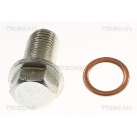 Verschlußschraube, Ölwanne 9500 1025 von TRISCAN günstig für 3,27 € online kaufen