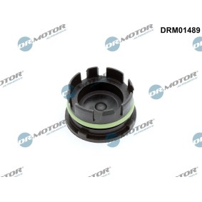 Verschlußschraube, Kurbelgehäuse DRM01489 von DR.MOTOR AUTOMOTIVE günstig für 6,79 € online kaufen