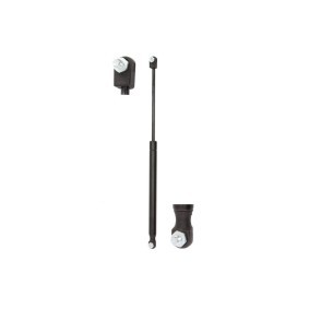 Heckklappendämpfer 21074 von FA KROSNO günstig für 12,17 € online kaufen