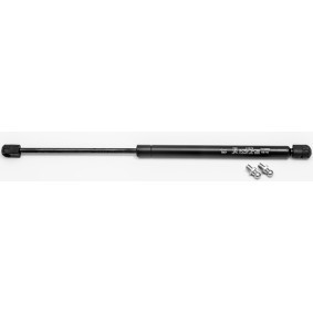 Heckklappendämpfer 21075 von FA KROSNO günstig für 16,02 € online kaufen