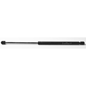 Heckklappendämpfer 23125 von FA KROSNO günstig für 18,90 € online kaufen
