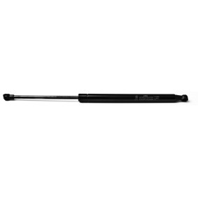 Heckklappendämpfer 23863 von FA KROSNO günstig für 17,06 € online kaufen