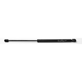 Heckklappendämpfer 24494 von FA KROSNO günstig für 18,05 € online kaufen