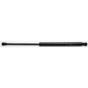 Heckklappendämpfer 31762 von FA KROSNO günstig für 20,54 € online kaufen