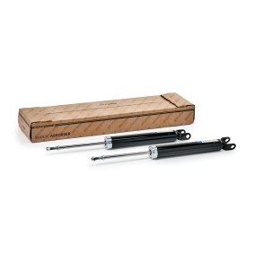 Comprar Amortiguador de goCORE GCH540232 a bajo precio de 106,55 €