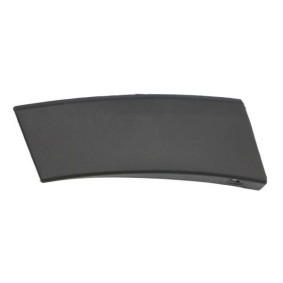 Acquista Modanatura paraurti da BLIC 6502-07-8178972P a buon mercato per soli 17,60 €