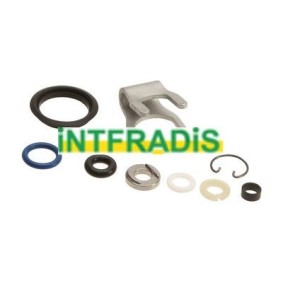Dichtungssatz, Einspritzdüse 24008 von INTFRADIS günstig für 20,23 € online kaufen