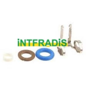 Dichtungssatz, Einspritzdüse 24009 von INTFRADIS günstig für 18,89 € online kaufen
