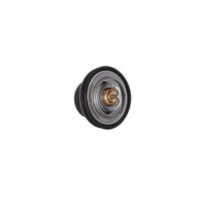 Achetez des Thermostat d'eau KAMOKA 7710070 à prix pour 10,98 €