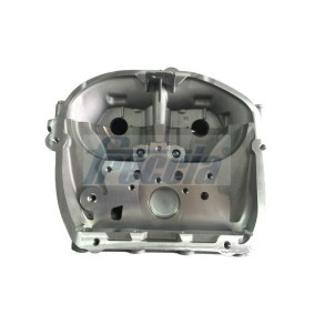 Zylinderkopf CH17-1085 von FRECCIA günstig für 620,98 € online kaufen
