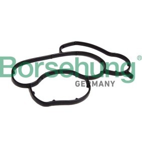 Dichtung, Ölfiltergehäuse B12529 von Borsehung günstig für 11,94 € online kaufen