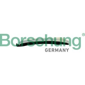 Gleitschiene, Steuerkette B12599 von Borsehung günstig für 26,95 € online kaufen