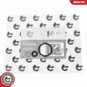Compre Kit de reparação, suporte de injector da ESEN SKV 53SKV192 a um preço baixo por 8,16 €