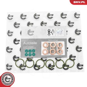Dichtringsatz, Einspritzventil 53SKV200 von ESEN SKV günstig für 15,02 € online kaufen