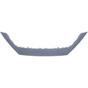Comprar Cubierta, parachoques de DIEDERICHS 7434037 a bajo precio de 200,02 €